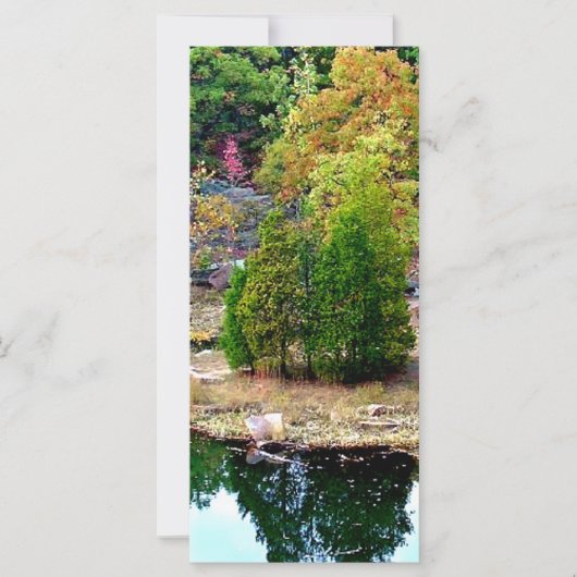 Ter nagedachtenis van de Bladwijzer van de Kaarten (Voorkant)