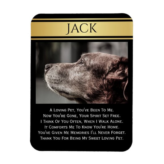 ter nagedachtenis van een verloren pakket magneet (Verticaal)