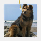 ter nagedachtenis van Pet Memorial Rainbow Bridge  Keramisch Ornament (Voorkant)