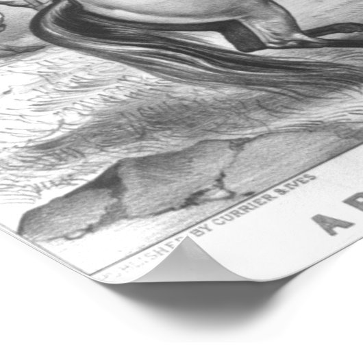 Ter verdediging van de Homestead Print (Hoek)