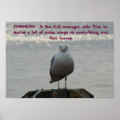 TERDBIRD: Een Zee Gull-manager, die.. Poster (Voorkant)