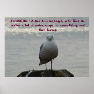 TERDBIRD: Een Zee Gull-manager, die.. Poster