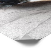 Tere Siamees Kitten Onder Een Dekbed Schets Poster (Hoek)