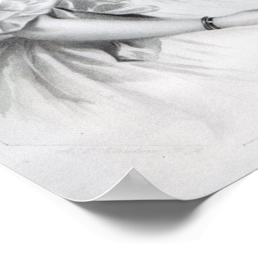 Teresa, Contessa Guiccioli Poster (Hoek)