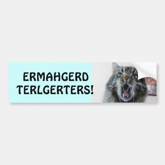 Terlgerters. Ermahgerd. Geschokte Kat achterkleppe Bumpersticker (Voorkant)