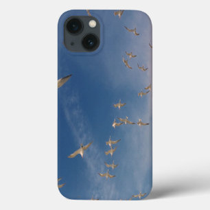 Termen Overhead iPhone 13 Hoesje