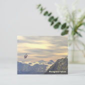 Terminal Velocity Peregrine Falcon Briefkaart (Staand voorkant)