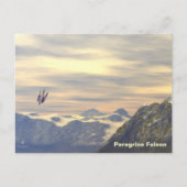 Terminal Velocity Peregrine Falcon Briefkaart (Voorkant)