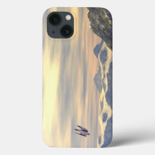 Terminal Velocity Peregrine Falcon iPhone 13 Hoesje