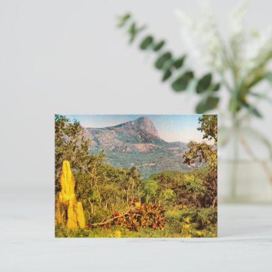 Termite mound, Sierra da Hanba, Angola Briefkaart (Staand voorkant)