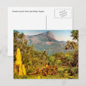 Termite mound, Sierra da Hanba, Angola Briefkaart (Voorkant / Achterkant)