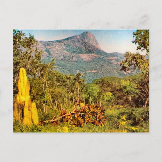 Termite mound, Sierra da Hanba, Angola Briefkaart (Voorkant)