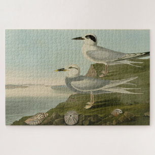 Tern Audubon Birds of America Legpuzzel