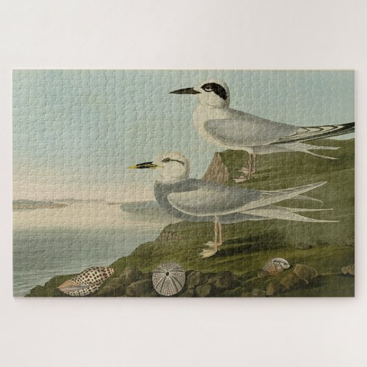 Tern Audubon Birds of America Legpuzzel (Horizontaal)