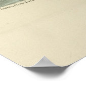 Tern Audubon Birds of America Poster (Hoek)