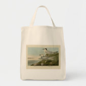 Tern Audubon Birds of America Tote Bag (Voorkant)