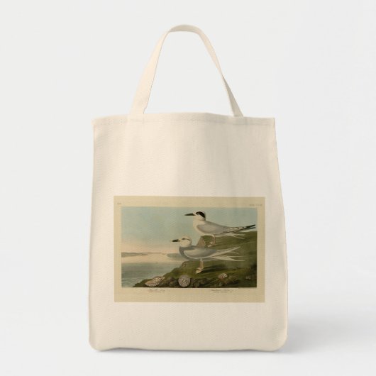Tern Audubon Birds of America Tote Bag (Voorkant)