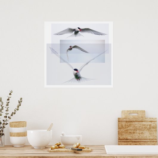 Tern Collection Poster (Keuken)