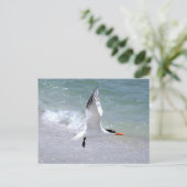 Tern in Flight Briefkaart (Staand voorkant)