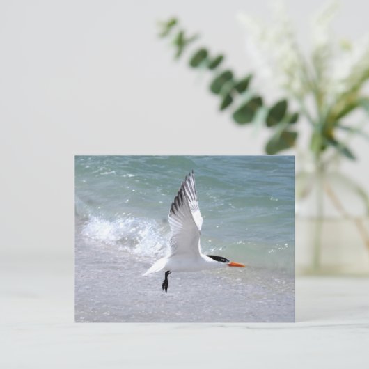 Tern in Flight Briefkaart (Staand voorkant)