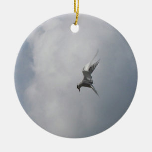 Tern in het ornament Sky, pas aan