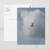 Tern in het Sky briefkaart (Voorkant / Achterkant)