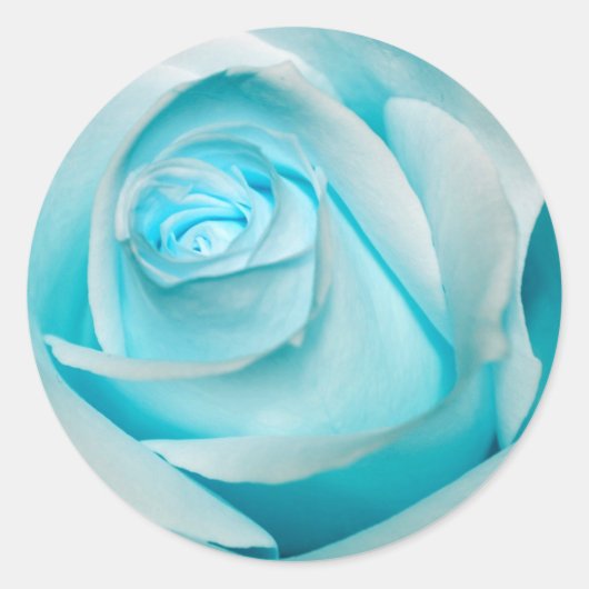 Terquoise Ice Roos Ronde Sticker (Voorkant)