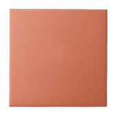 Terra Cotta Kleur 1 Tegeltje (Voorkant)