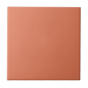 Terra Cotta Kleur 1 Tegeltje
