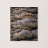 Terra Cotta-strijders in Emperor Qin Shihuang's Legpuzzel (Verticaal)
