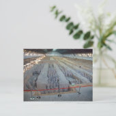 Terra Cotta Warriors Post Card Briefkaart (Staand voorkant)