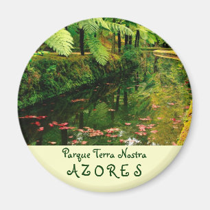 Terra Nostra, Azoren Magneet