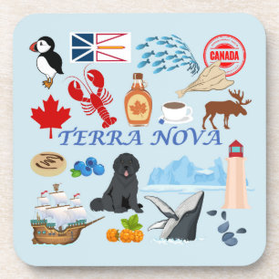 Terra Nova Newfoundland Bier Onderzetter