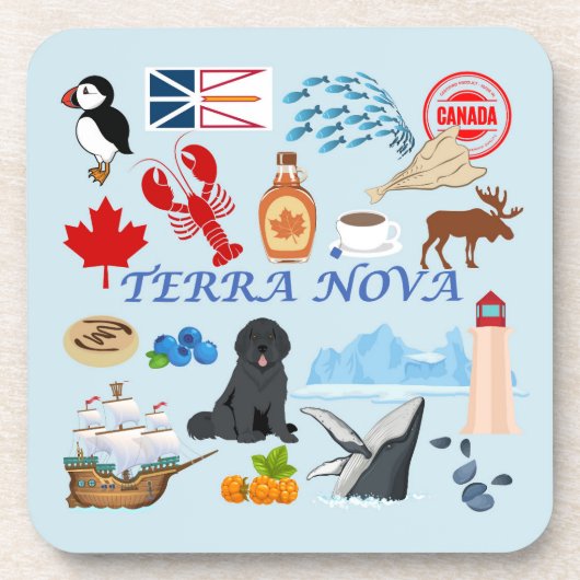 Terra Nova Newfoundland Bier Onderzetter (Voorkant)