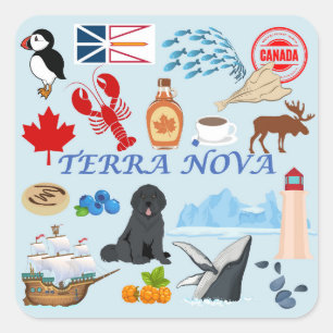Terra Nova Newfoundland Vierkante Sticker