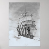 Terra Nova Poster (Voorkant)