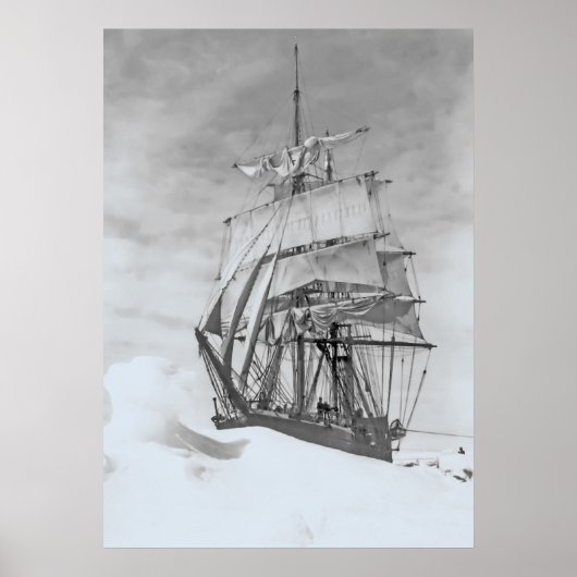 Terra Nova Poster (Voorkant)