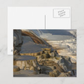 Terrace Mountain bij Mammoth Hot Springs Briefkaart (Voorkant / Achterkant)