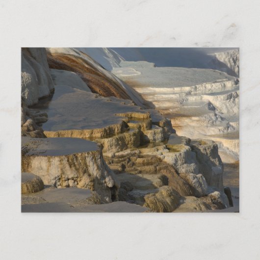 Terrace Mountain bij Mammoth Hot Springs Briefkaart (Voorkant)