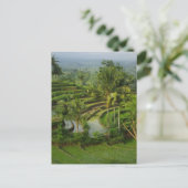 Terrace Ricefield op Bali Briefkaart (Staand voorkant)