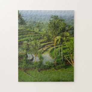 Terrace Ricefield op Bali Legpuzzel