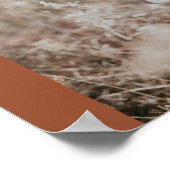 Terracotta Boho Minimalist Arch Photo Afstuderen Poster (Hoek)