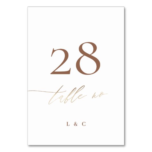 Terracotta Dusty Oranje Elegant Boho Gold Wedding Kaart (Achterkant)