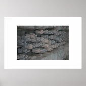 terracotta krijgers poster (Voorkant)