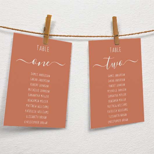 Terracotta Modern White Script Seating Chart Card