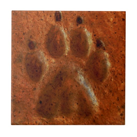 "Terracotta Paw Print" door Carter L. Shepard" Tegeltje (Voorkant)