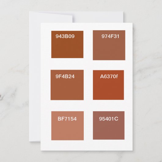 Terracotta Roest Kleur Swatches Kaart (Voorkant)
