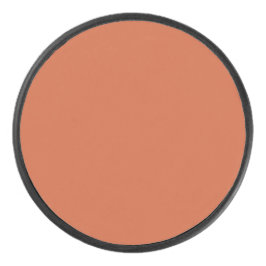 Terracotta Sinaasappel Effen Kleur Warm & Aards On Hockey Puck
