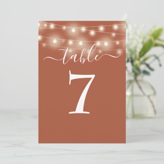 Terracotta Slingerlichten Tafelnummer (Staand voorkant)