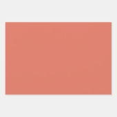 Terracotta Solid Color Inpakpapier Vel (Voorkant 3)